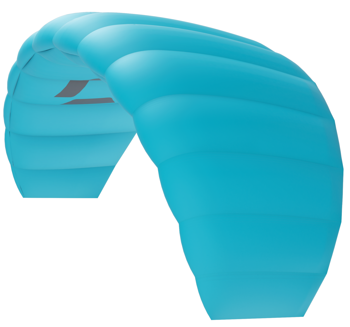 Duotone Lizard Trainer Kite